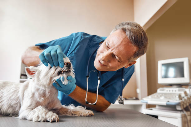 Best Emergency Root Canal Therapy in Augusta, AR